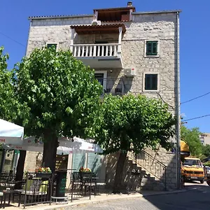 Morus Alba Split